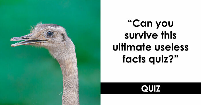 “Can You Outsmart These Useless Facts?”: Ace This 20-Question Weird General Knowledge Quiz