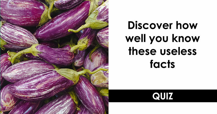 “Can You Outsmart These Useless Facts?”: Ace This 20-Question Weird General Knowledge Quiz