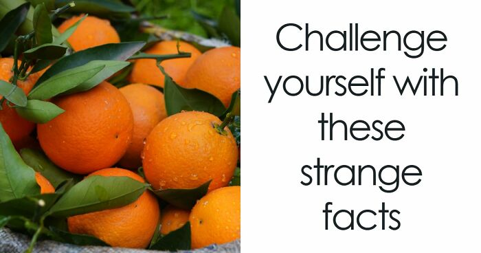 “Can You Outsmart These Useless Facts?”: Ace This 20-Question Weird General Knowledge Quiz
