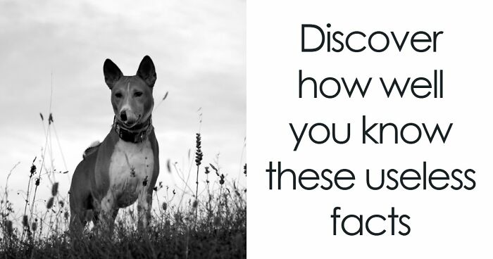 “Can You Outsmart These Useless Facts?”: Ace This 20-Question Weird General Knowledge Quiz