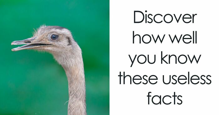 “Can You Outsmart These Useless Facts?”: Ace This 20-Question Weird General Knowledge Quiz