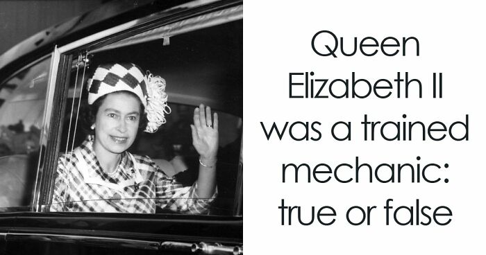 “Can You Outsmart These Useless Facts?”: Ace This 20-Question Weird General Knowledge Quiz