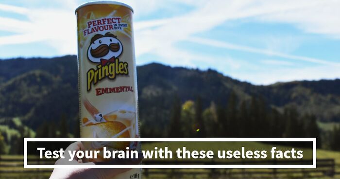 “Can You Outsmart These Useless Facts?”: Ace This 20-Question Weird General Knowledge Quiz