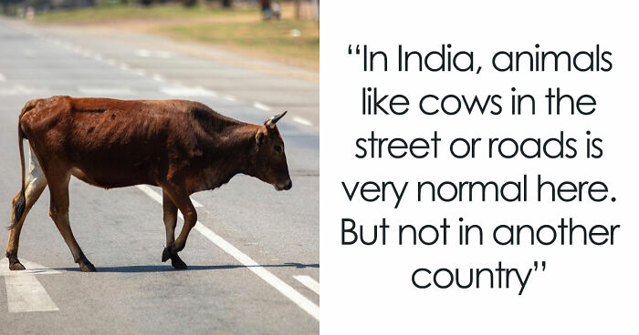 34 Country-Specific Habits That Are Completely Normal To Locals But Confusing To Everyone Else