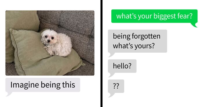 53 Bizarre Text Conversations That Prove You Never Know What’s Going On In People’s Phones