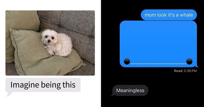 53 Bizarre Text Conversations That Prove You Never Know What’s Going On In People’s Phones
