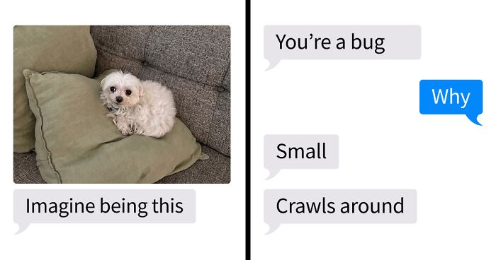 53 Bizarre Text Conversations That Prove You Never Know What’s Going On In People’s Phones