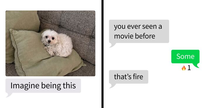 53 Bizarre Text Conversations That Prove You Never Know What’s Going On In People’s Phones