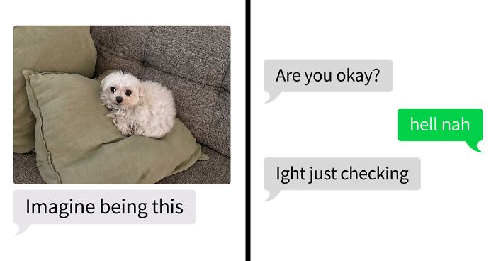53 Bizarre Text Conversations That Prove You Never Know What’s Going On In People’s Phones