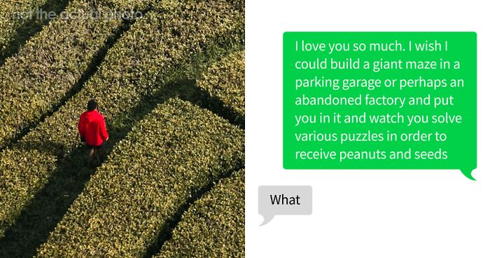 53 Bizarre Text Conversations That Prove You Never Know What’s Going On In People’s Phones