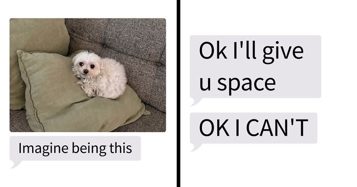 53 Bizarre Text Conversations That Prove You Never Know What’s Going On In People’s Phones