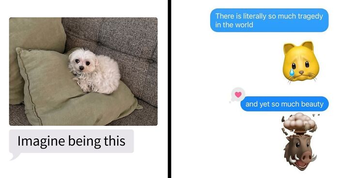 53 Bizarre Text Conversations That Prove You Never Know What’s Going On In People’s Phones