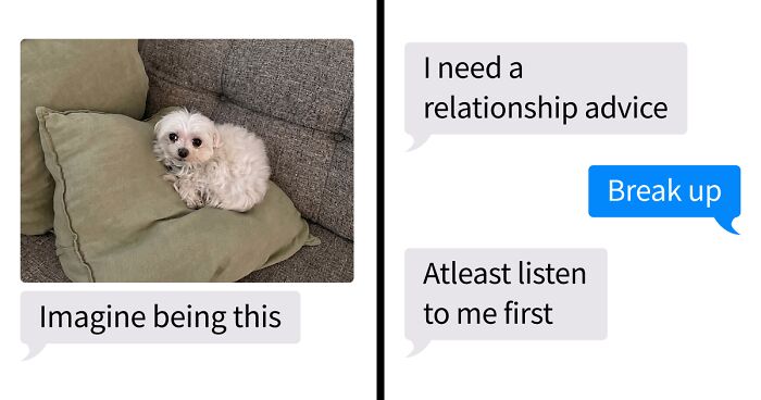 53 Bizarre Text Conversations That Prove You Never Know What’s Going On In People’s Phones