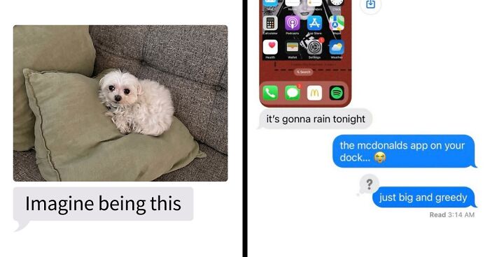 53 Bizarre Text Conversations That Prove You Never Know What’s Going On In People’s Phones