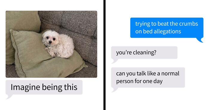 53 Bizarre Text Conversations That Prove You Never Know What’s Going On In People’s Phones