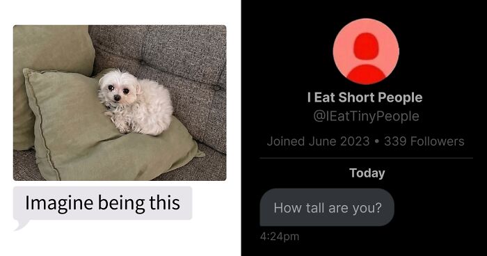 53 Bizarre Text Conversations That Prove You Never Know What’s Going On In People’s Phones