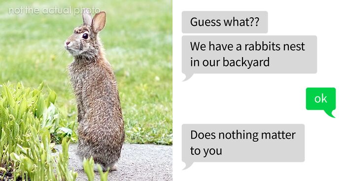 53 Bizarre Text Conversations That Prove You Never Know What’s Going On In People’s Phones