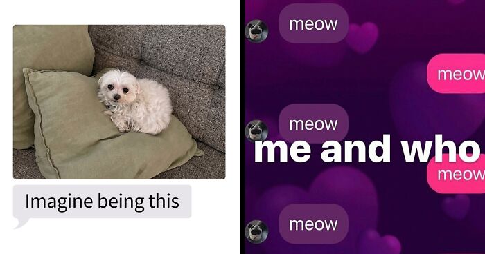 53 Bizarre Text Conversations That Prove You Never Know What’s Going On In People’s Phones