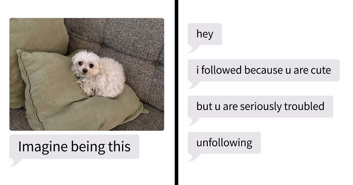 53 Bizarre Text Conversations That Prove You Never Know What’s Going On In People’s Phones
