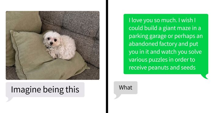 53 Bizarre Text Conversations That Prove You Never Know What’s Going On In People’s Phones