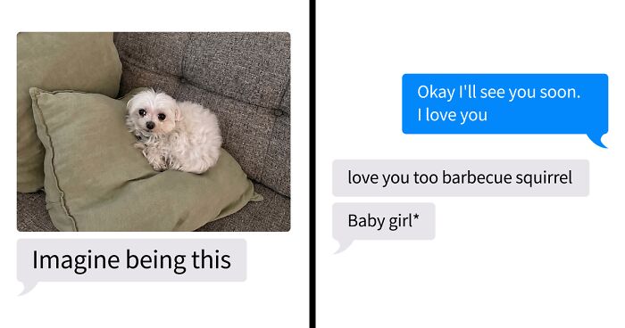 53 Bizarre Text Conversations That Prove You Never Know What’s Going On In People’s Phones