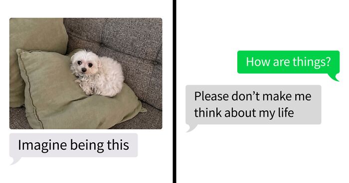 53 Bizarre Text Conversations That Prove You Never Know What’s Going On In People’s Phones