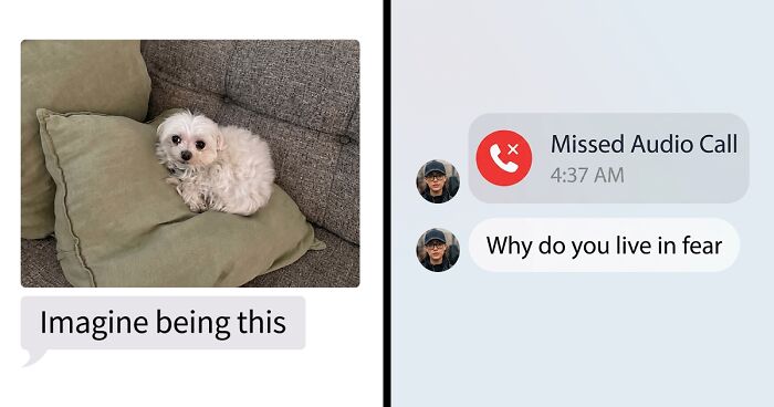 53 Bizarre Text Conversations That Prove You Never Know What’s Going On In People’s Phones