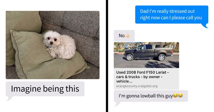 53 Bizarre Text Conversations That Prove You Never Know What’s Going On In People’s Phones