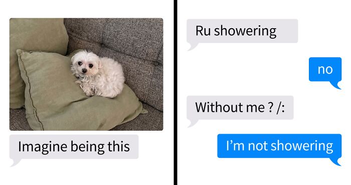 53 Bizarre Text Conversations That Prove You Never Know What’s Going On In People’s Phones