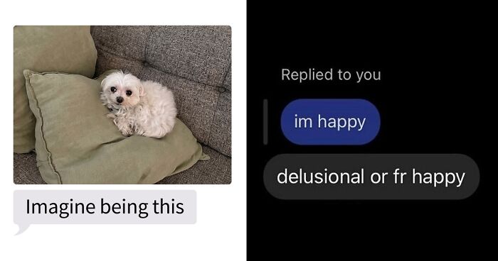 53 Bizarre Text Conversations That Prove You Never Know What’s Going On In People’s Phones