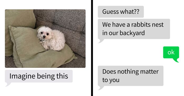 53 Bizarre Text Conversations That Prove You Never Know What’s Going On In People’s Phones