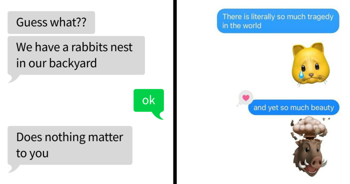 53 Bizarre Text Conversations That Prove You Never Know What’s Going On In People’s Phones