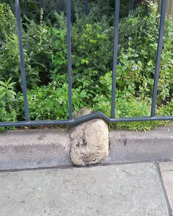 A construction fail where a metal fence is bent to accommodate a large rock in the sidewalk, showcasing poor planning.