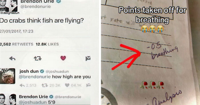 52 Weird Memes That Somehow Get Better The More You Look At Them