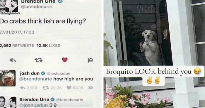52 Weird Memes That Somehow Get Better The More You Look At Them
