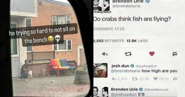 52 Weird Memes That Somehow Get Better The More You Look At Them