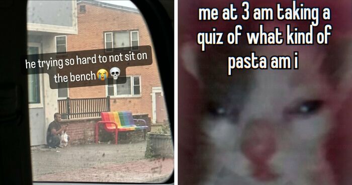 52 Weird Memes That Somehow Get Better The More You Look At Them