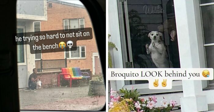 52 Weird Memes That Somehow Get Better The More You Look At Them