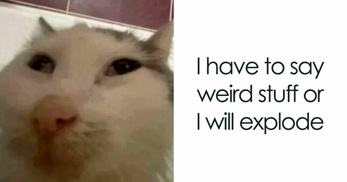 52 Weird Memes That Somehow Get Better The More You Look At Them