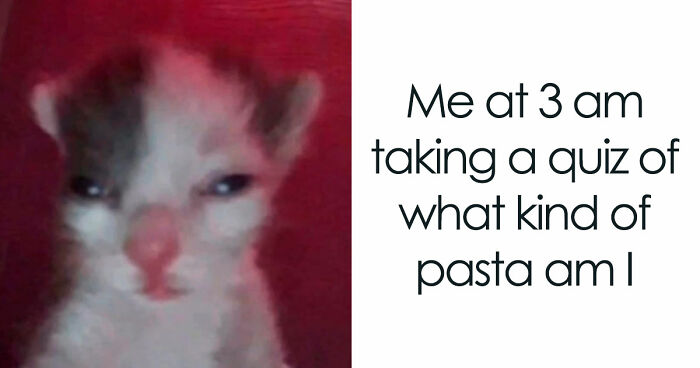 52 Weird Memes That Somehow Get Better The More You Look At Them
