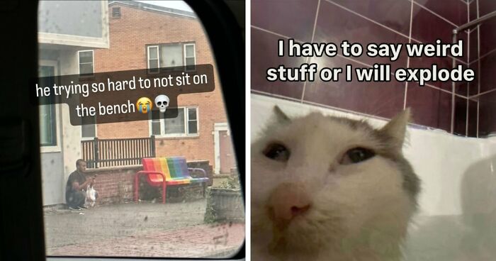 52 Weird Memes That Somehow Get Better The More You Look At Them