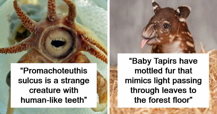 105 Fantastical Animals You Probably Won’t Believe Exist (New Pics)