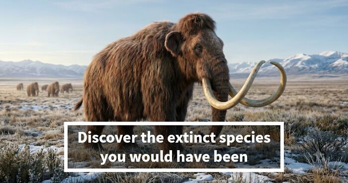 “Are You A Dodo Or A Mammoth?” This 20-Question Quiz Reveals The Extinct Species You Would Have Been