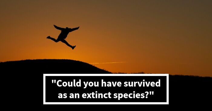 “Are You A Dodo Or A Mammoth?” This 20-Question Quiz Reveals The Extinct Species You Would Have Been
