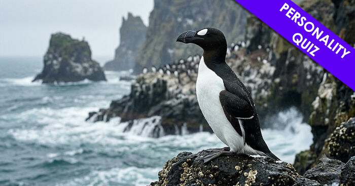 “Are You A Dodo Or A Mammoth?” This 20-Question Quiz Reveals The Extinct Species You Would Have Been