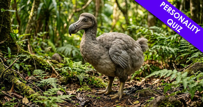 “Are You A Dodo Or A Mammoth?” This 20-Question Quiz Reveals The Extinct Species You Would Have Been