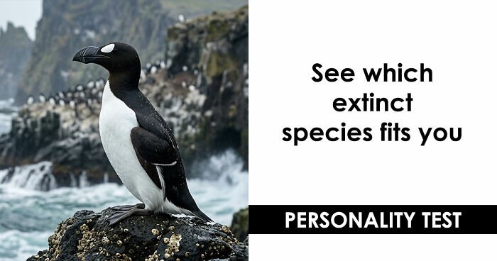 “Are You A Dodo Or A Mammoth?” This 20-Question Quiz Reveals The Extinct Species You Would Have Been