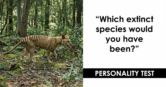 “Are You A Dodo Or A Mammoth?” This 20-Question Quiz Reveals The Extinct Species You Would Have Been