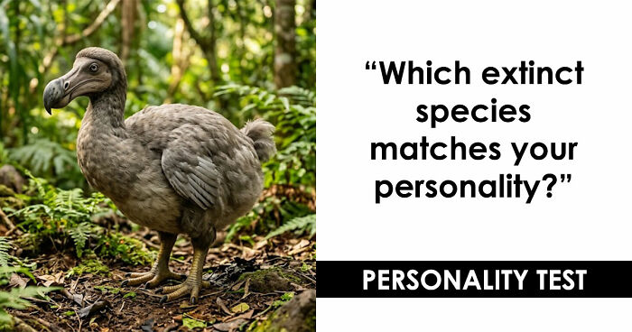 “Are You A Dodo Or A Mammoth?” This 20-Question Quiz Reveals The Extinct Species You Would Have Been