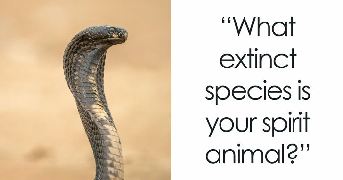 “Are You A Dodo Or A Mammoth?” This 20-Question Quiz Reveals The Extinct Species You Would Have Been